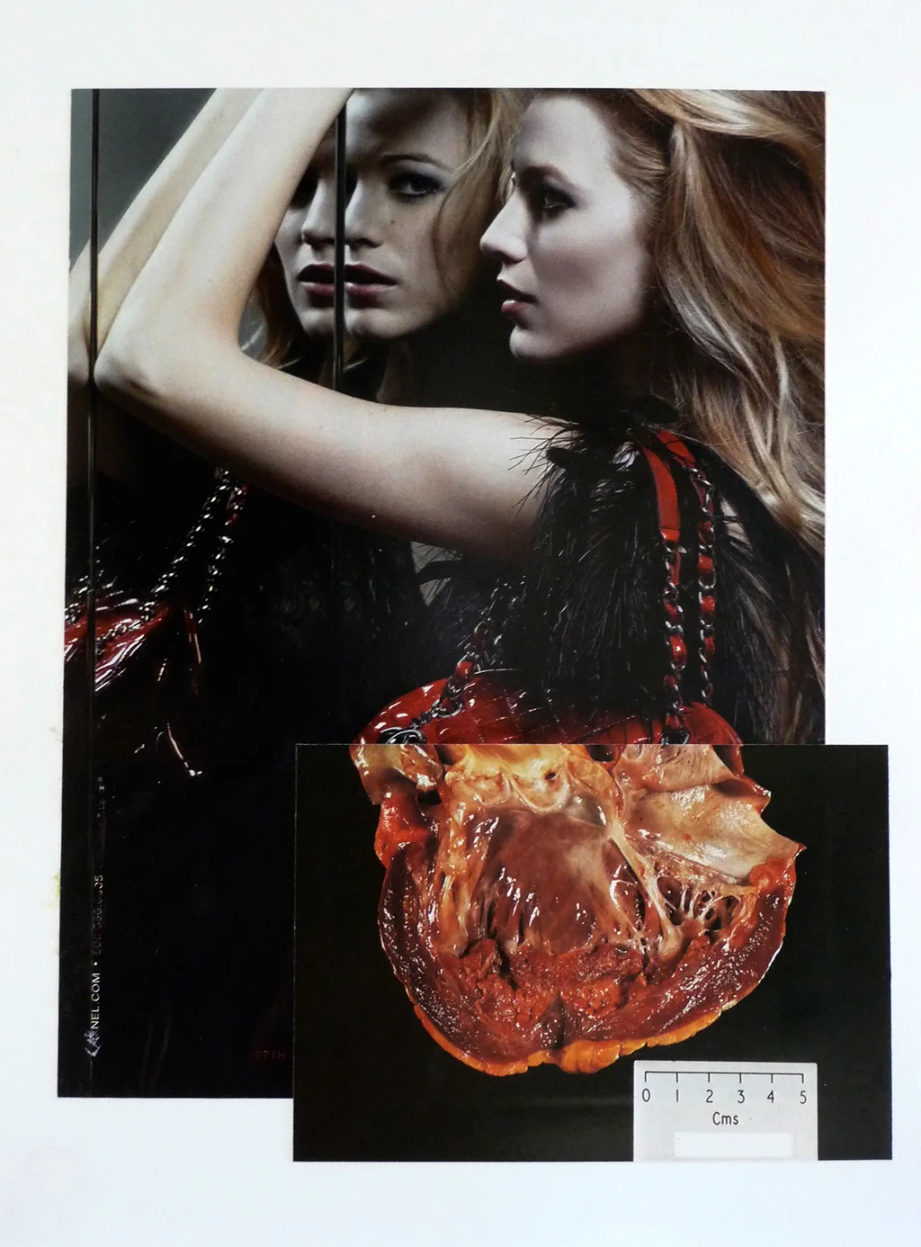 Accessories, 2010Collage