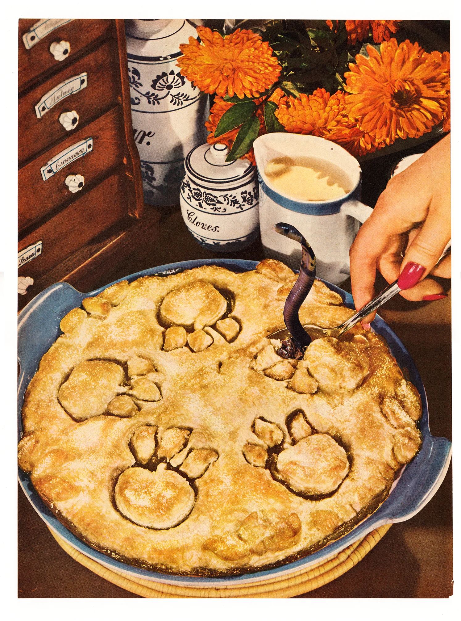 snake_pie_web.jpg