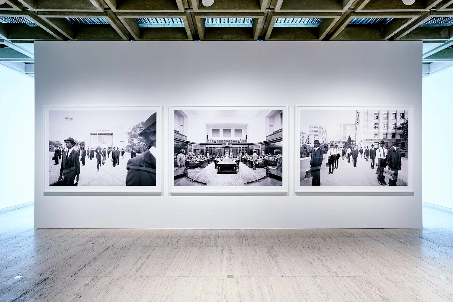 Michael Cook - Sydney Biennale