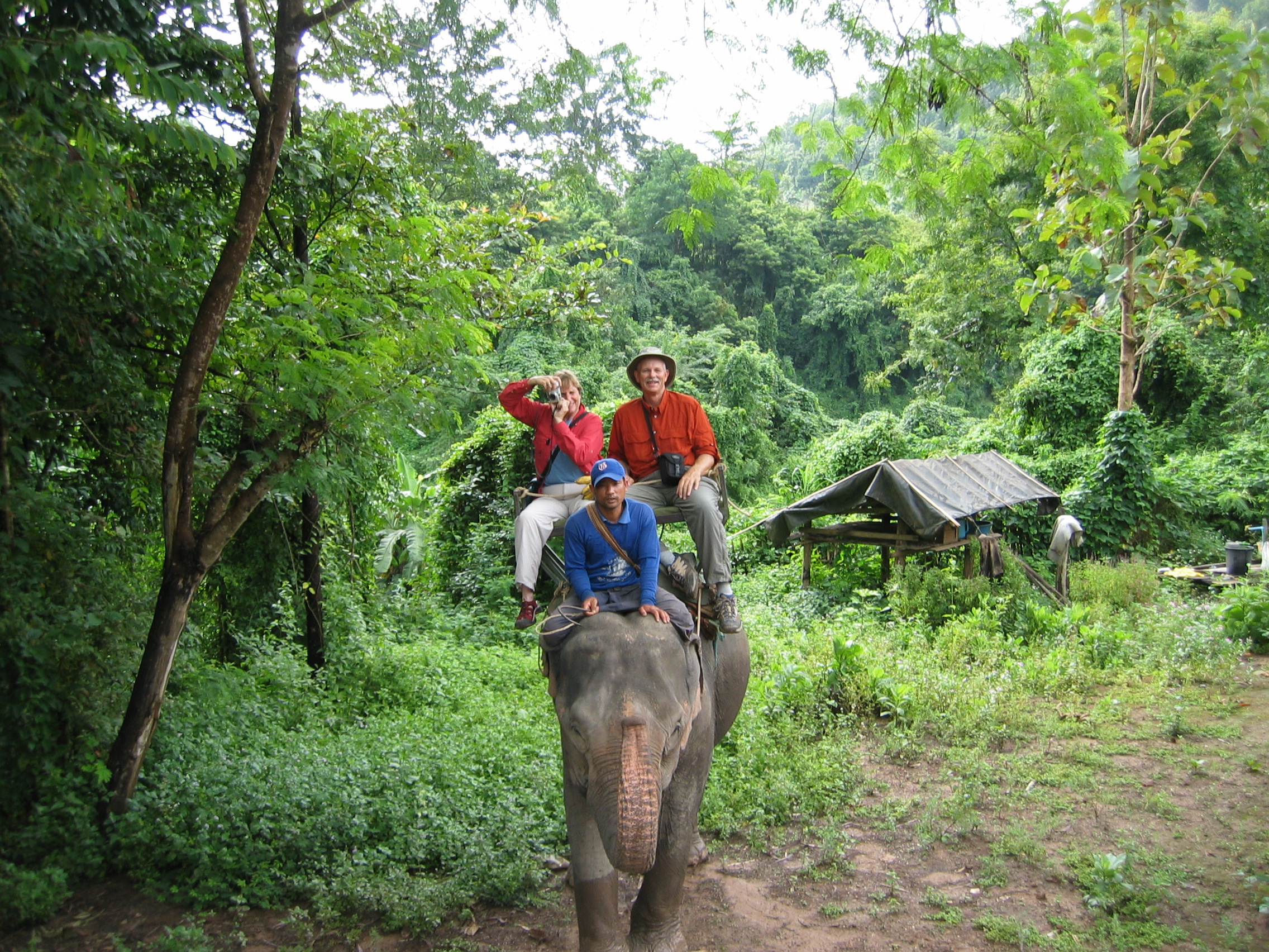 Elephant Ride.JPG