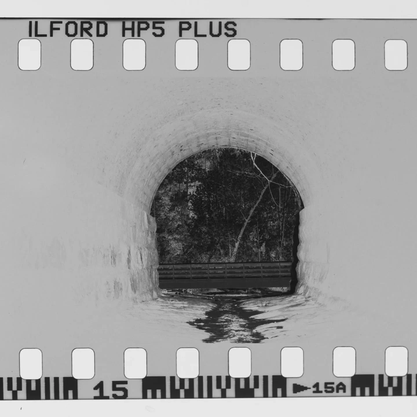 It's funny... The negative looks wrong to our eye, it's unnatural, and yet in a way, it's a more accurate depiction than the print. The print is processed, dodged, burned, cropped, the negative is the more authentic of the two, and yet....