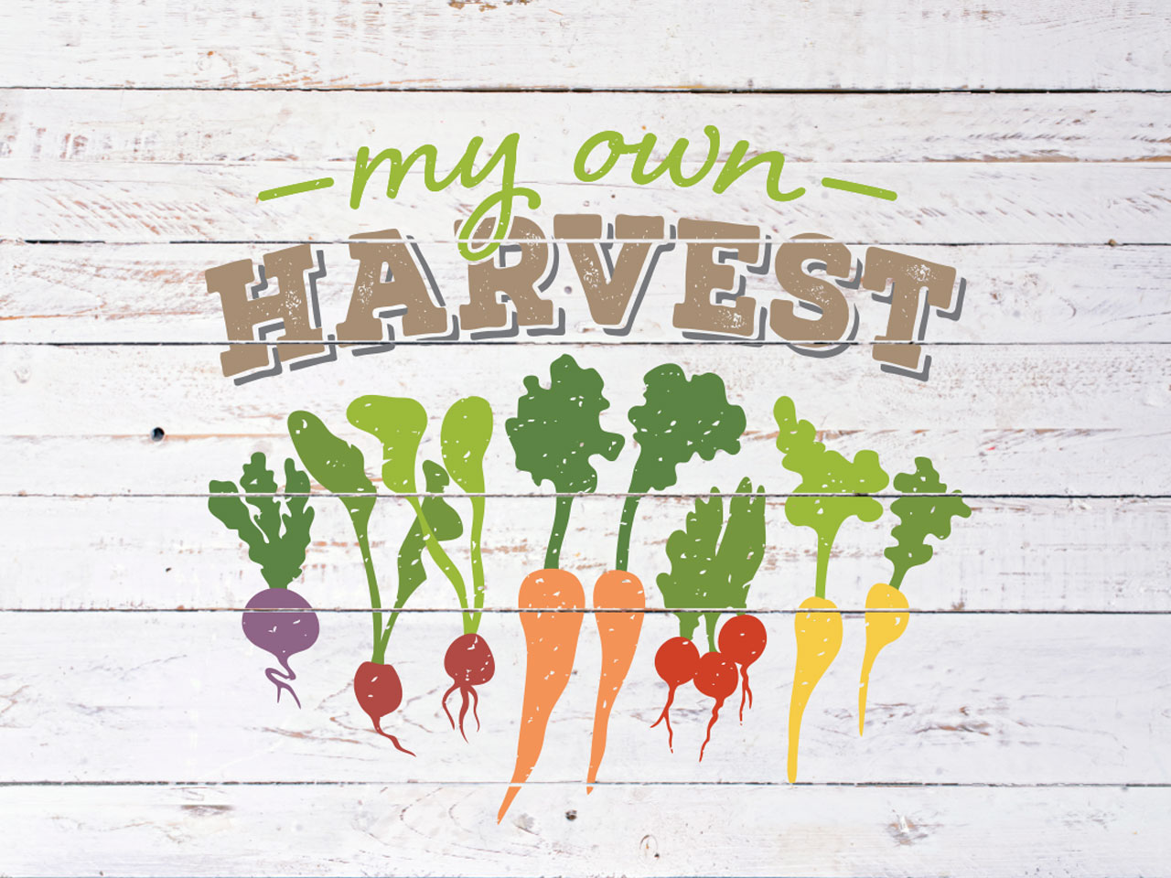 MY OWN HARVEST - Branding. Logo Design, Identity, Brand Mark Design. Geelong, Melbourne, Vic.