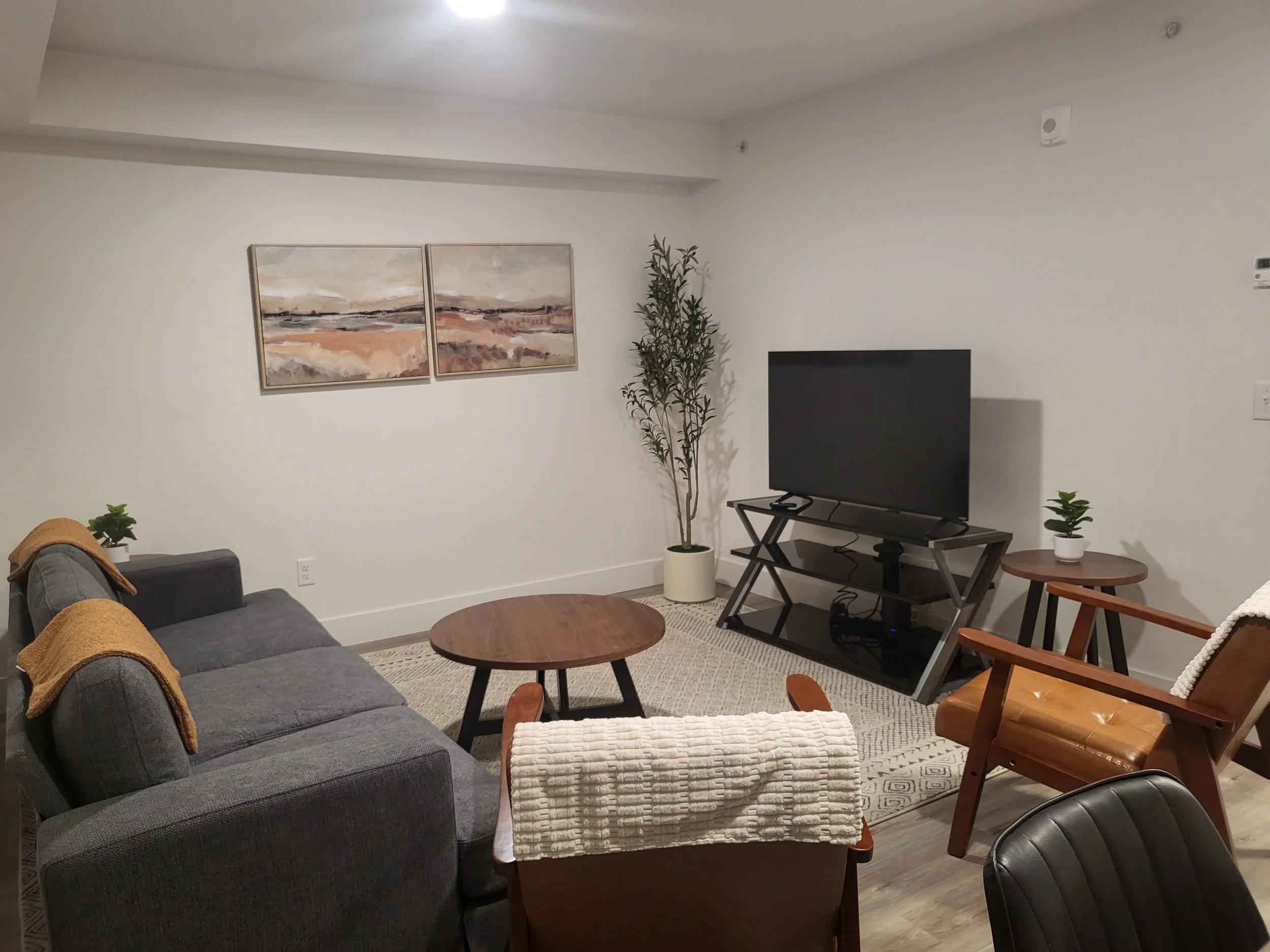 Living room.jpg