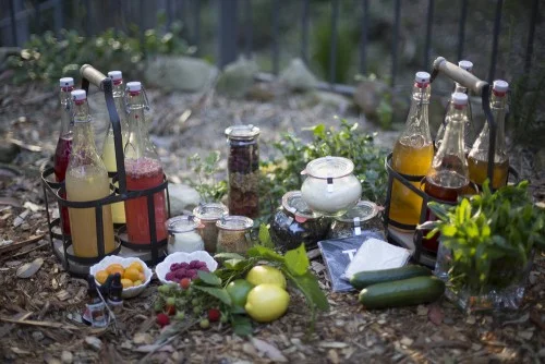 Foundations of Fermentation