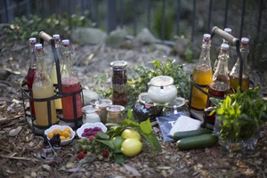 Foundations of Fermentation