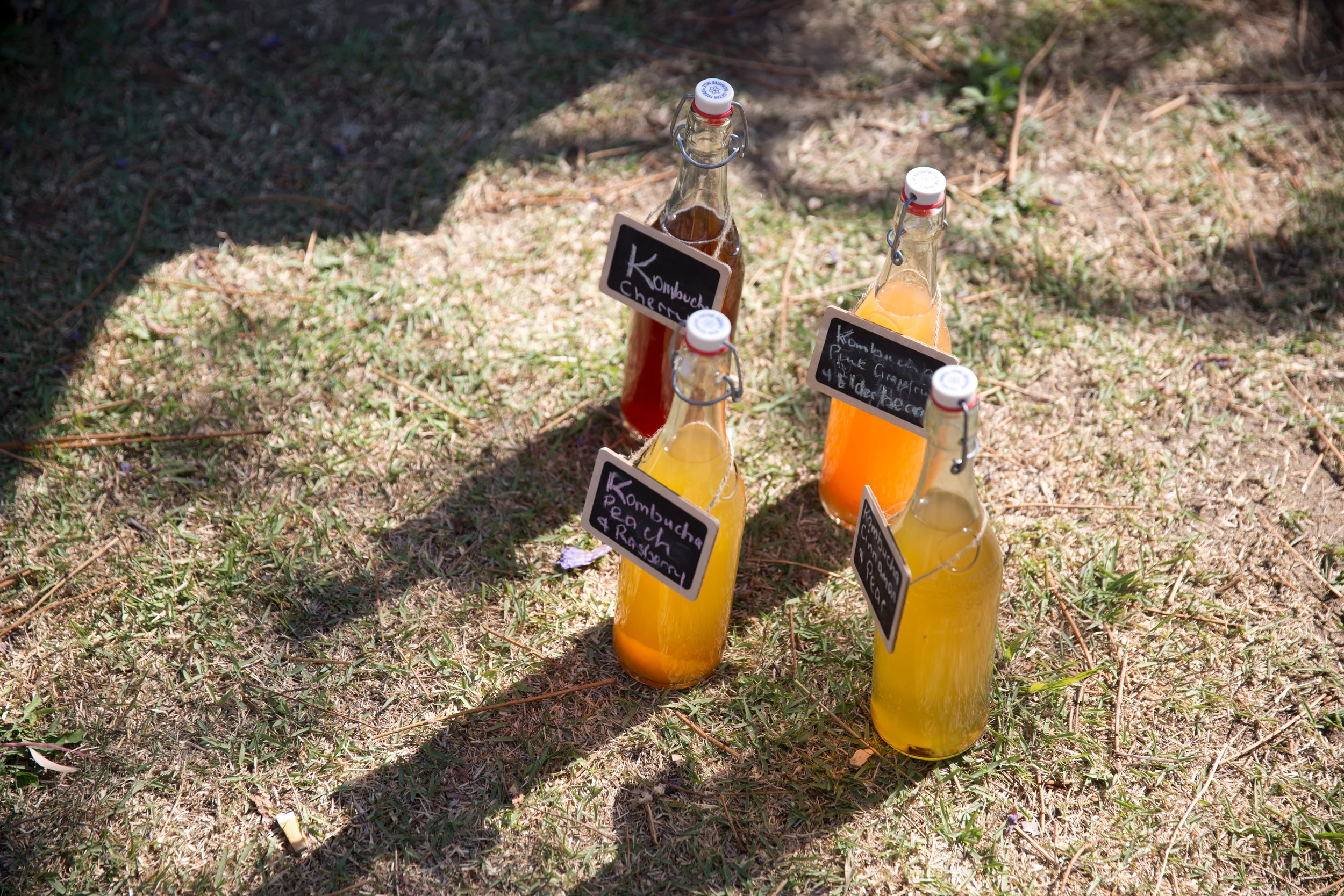 Ferment Masterclass: Drinks + Tonics