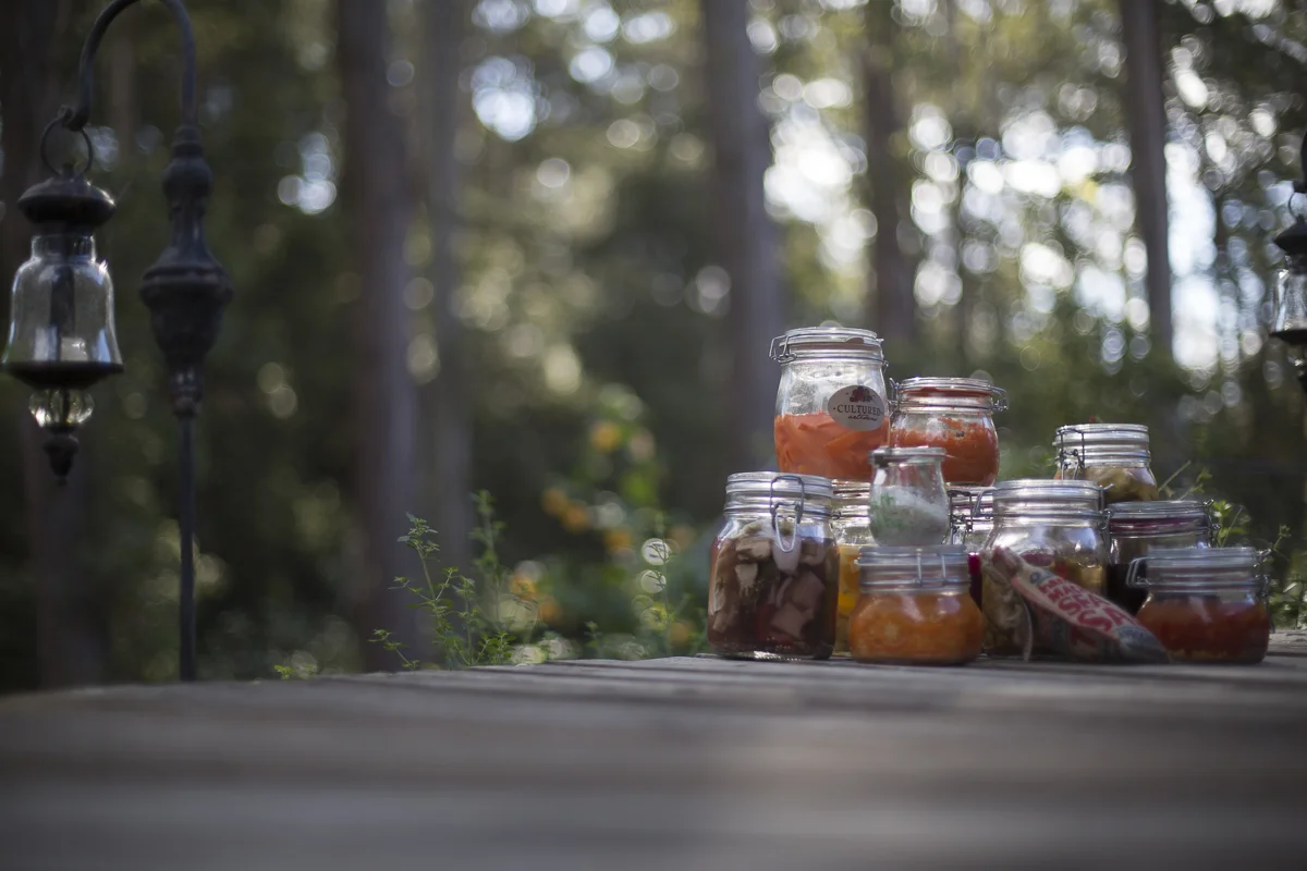 3 Ferments - Private Class
