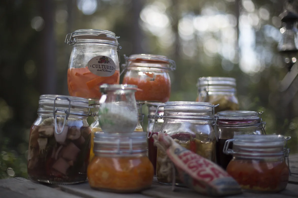 Fermenting for your Lifestyle