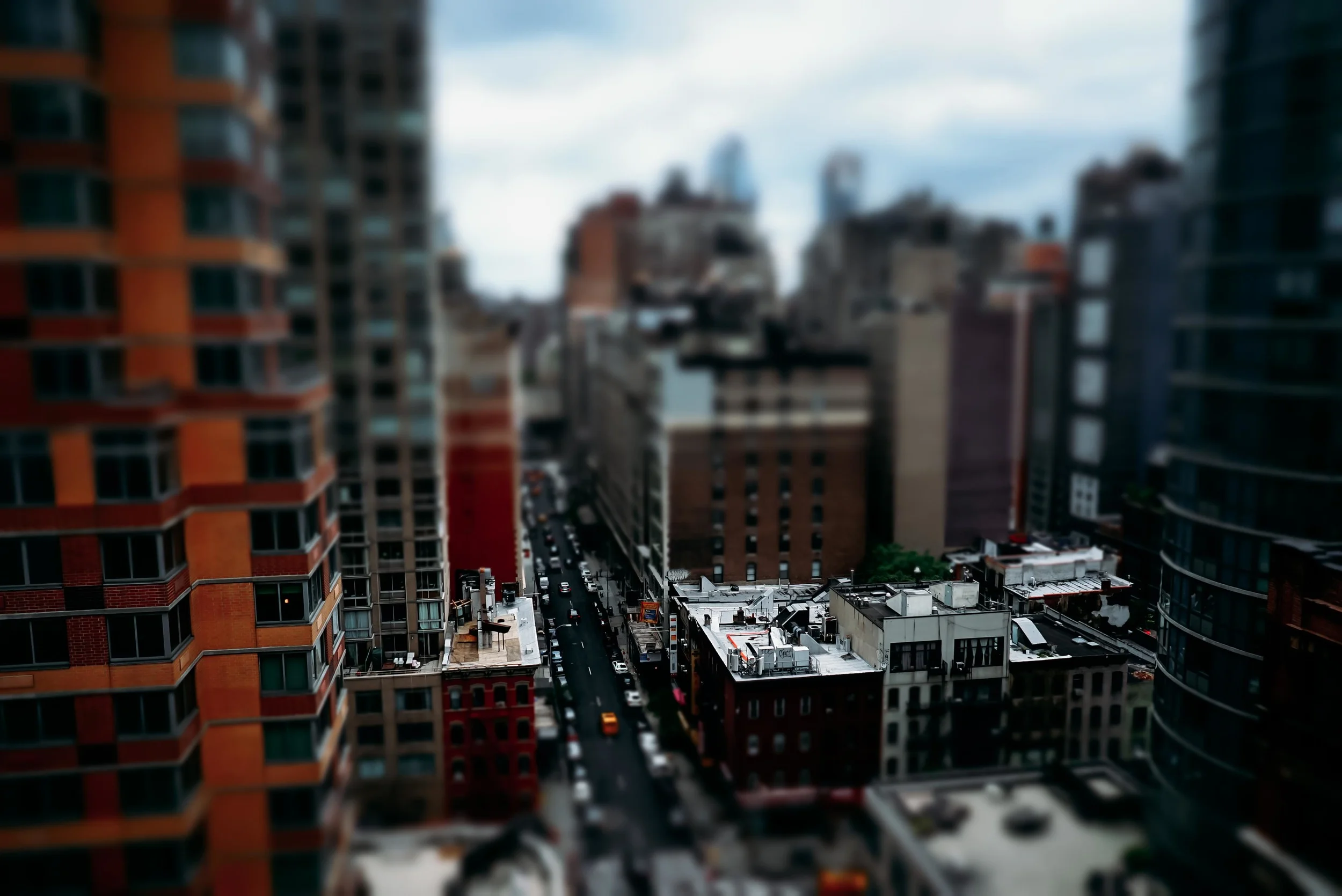DSC08892.jpg