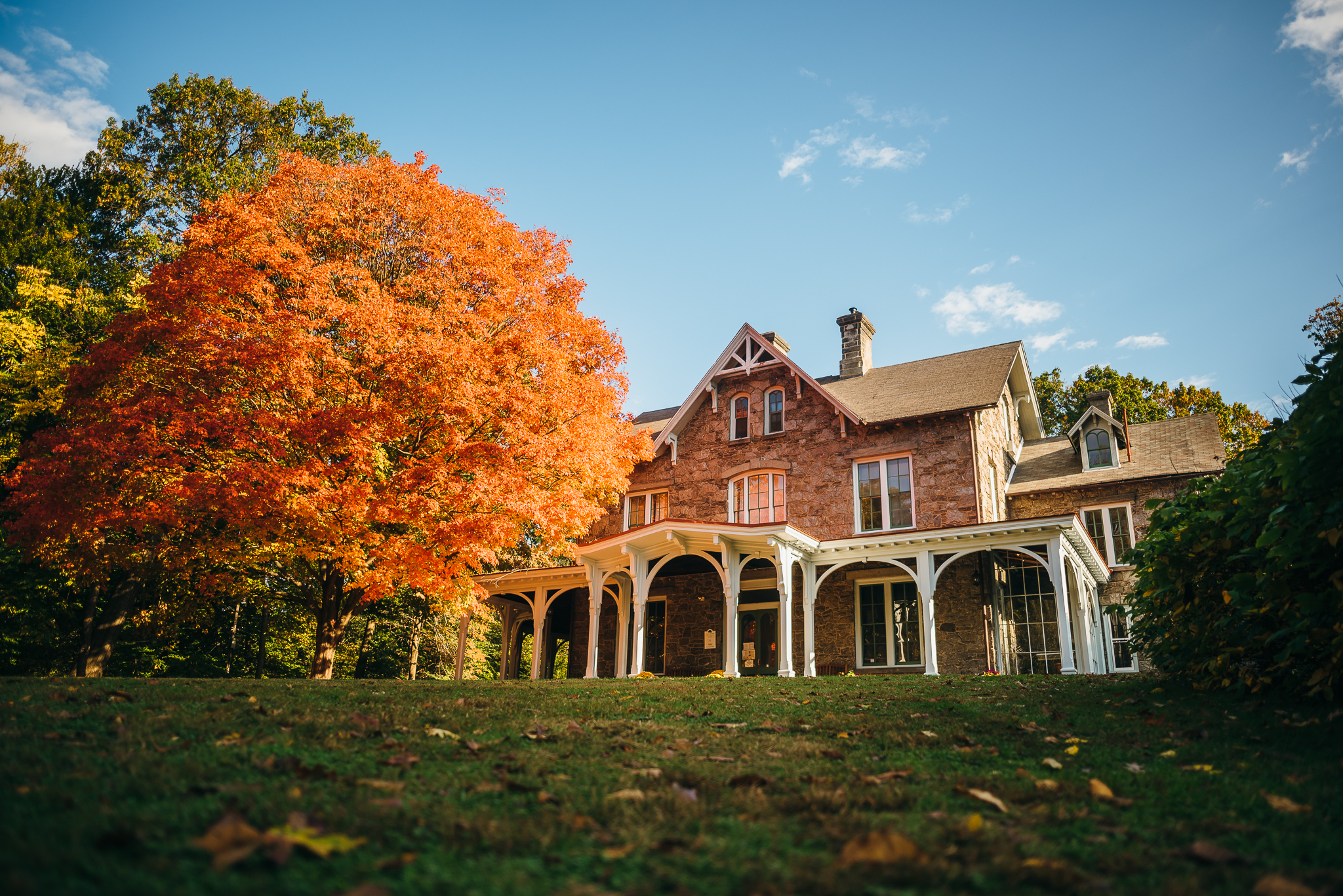 Awbury_Arboretum_Engagement-0001.jpg