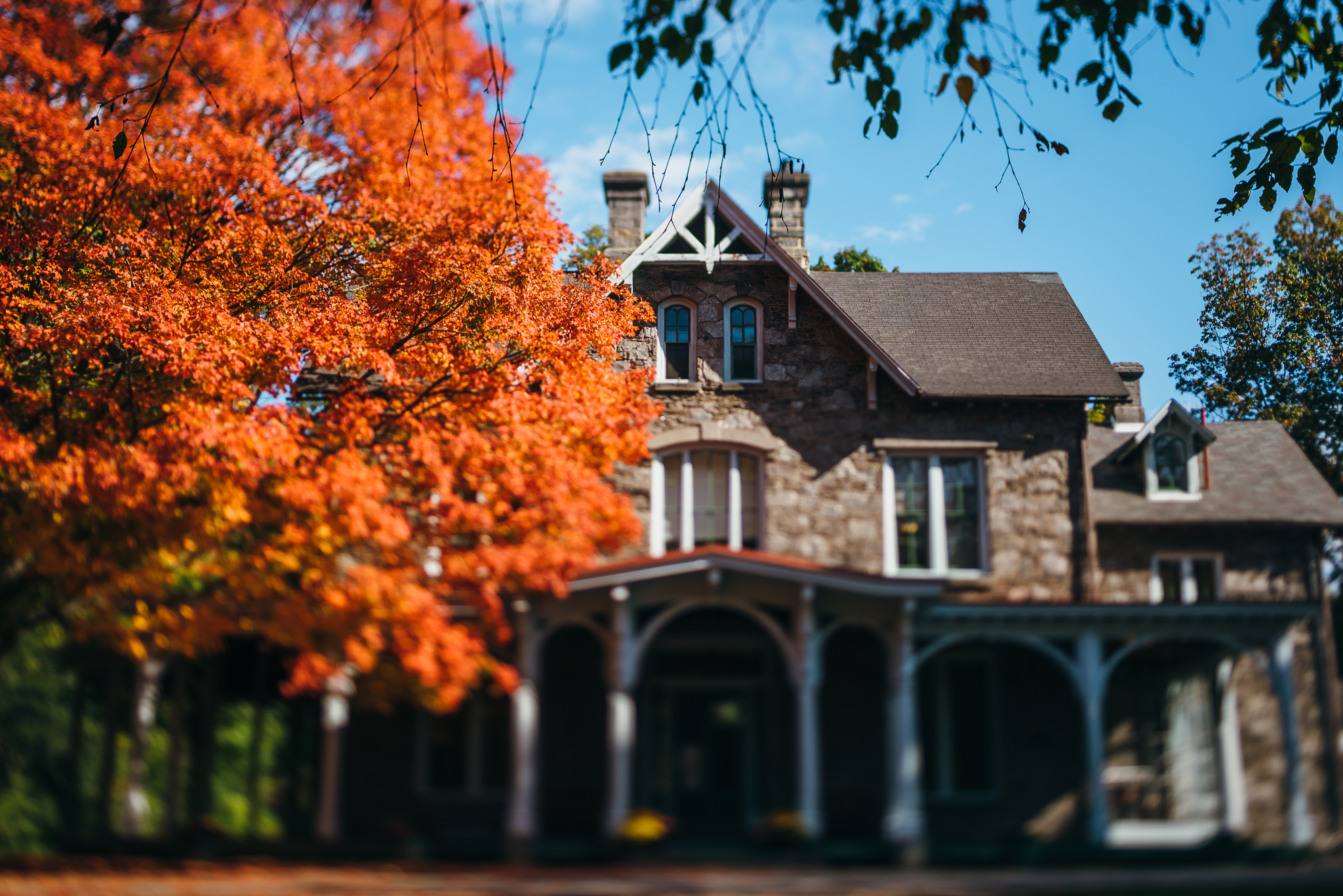 Awbury_Arboretum_Engagement-0011.jpg