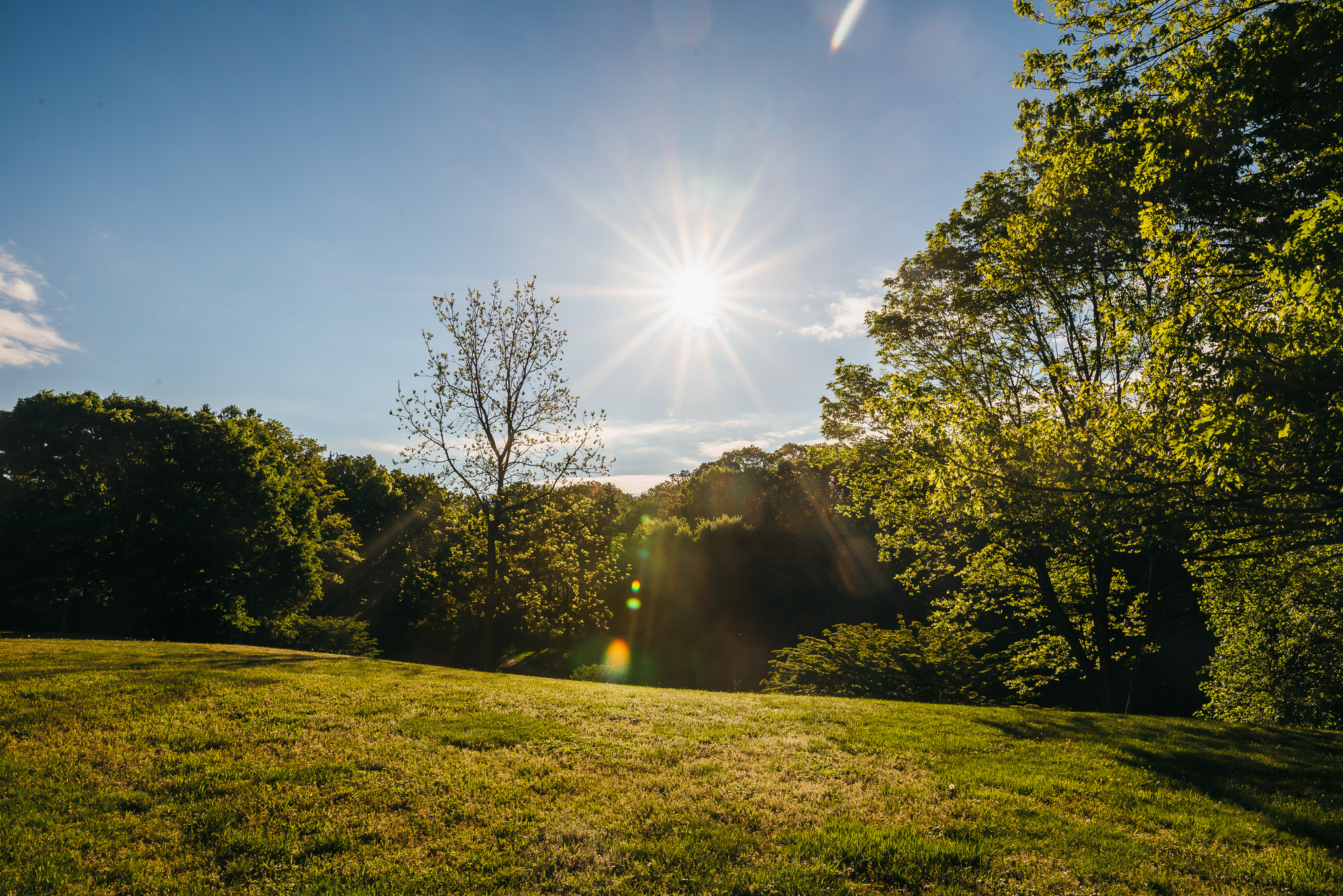 Valley-Garden-Park-Engagement-Session-0002.jpg