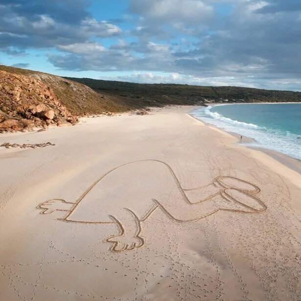 01-HeadintheSand.jpg