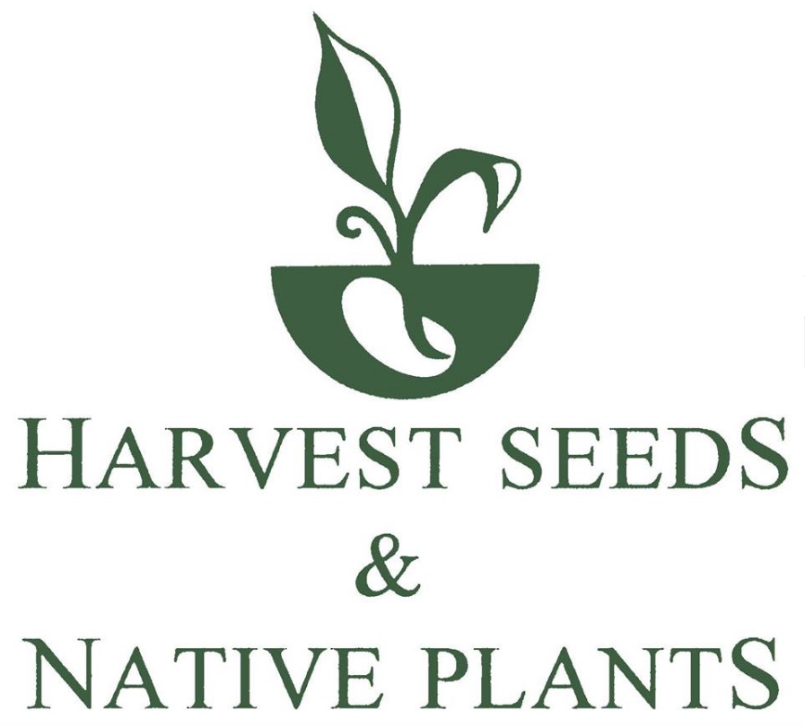 Harvest Seeds & Native Plants Nursery | Australian Native Plant Nursery Sydney