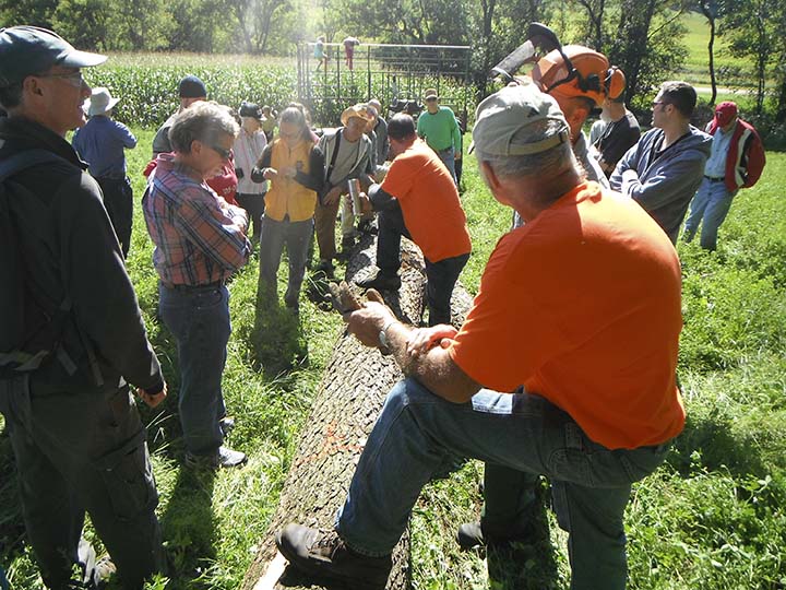  Another discussion on how the log should be divided it yielded a 12'6" butt log and five more 8'6" secondary logs.