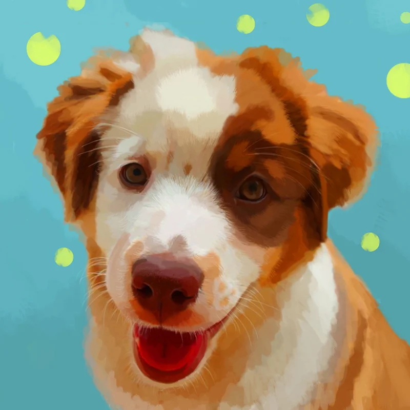 Stella the pup!