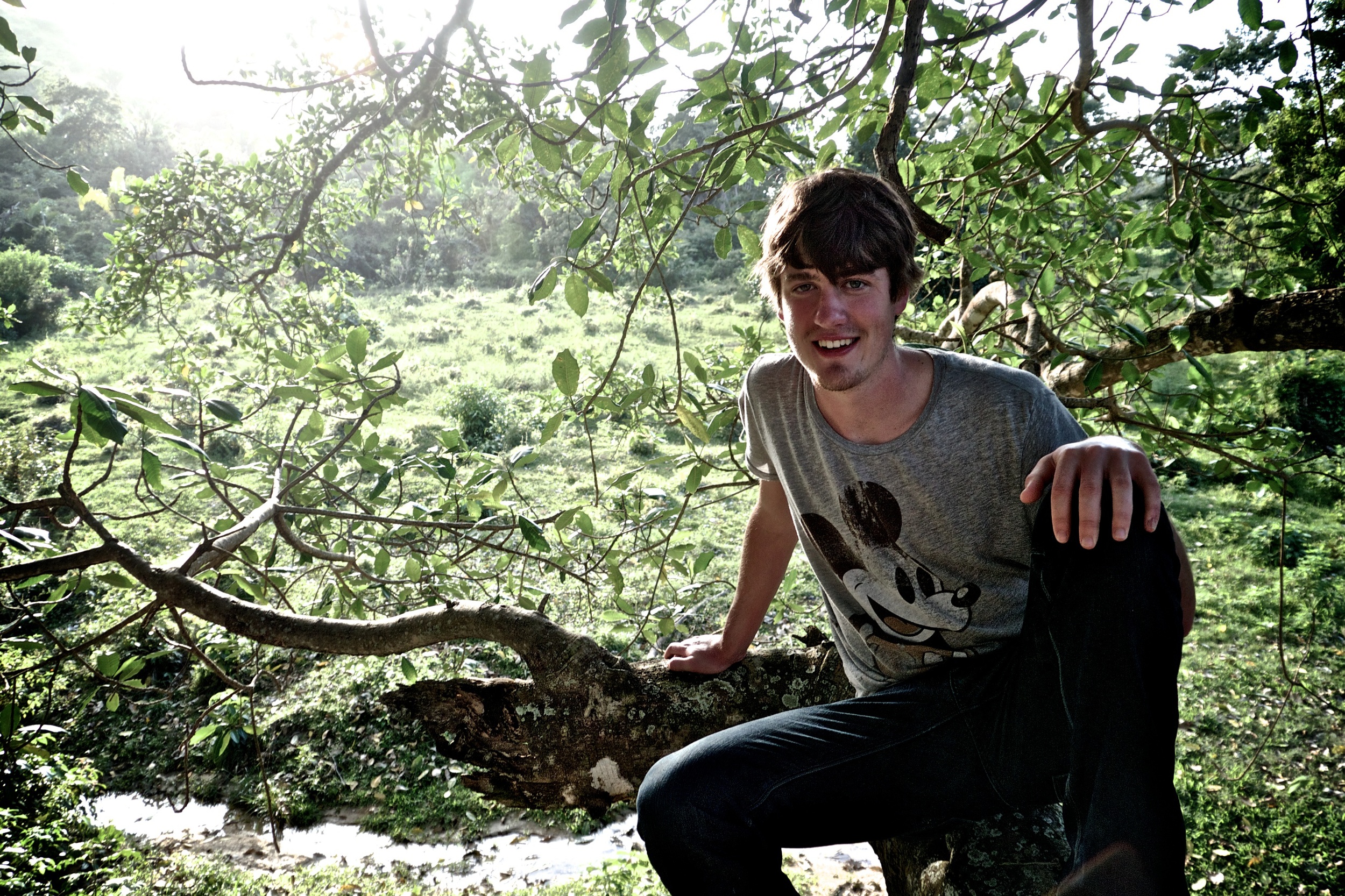 Taylor In a Tree.jpg