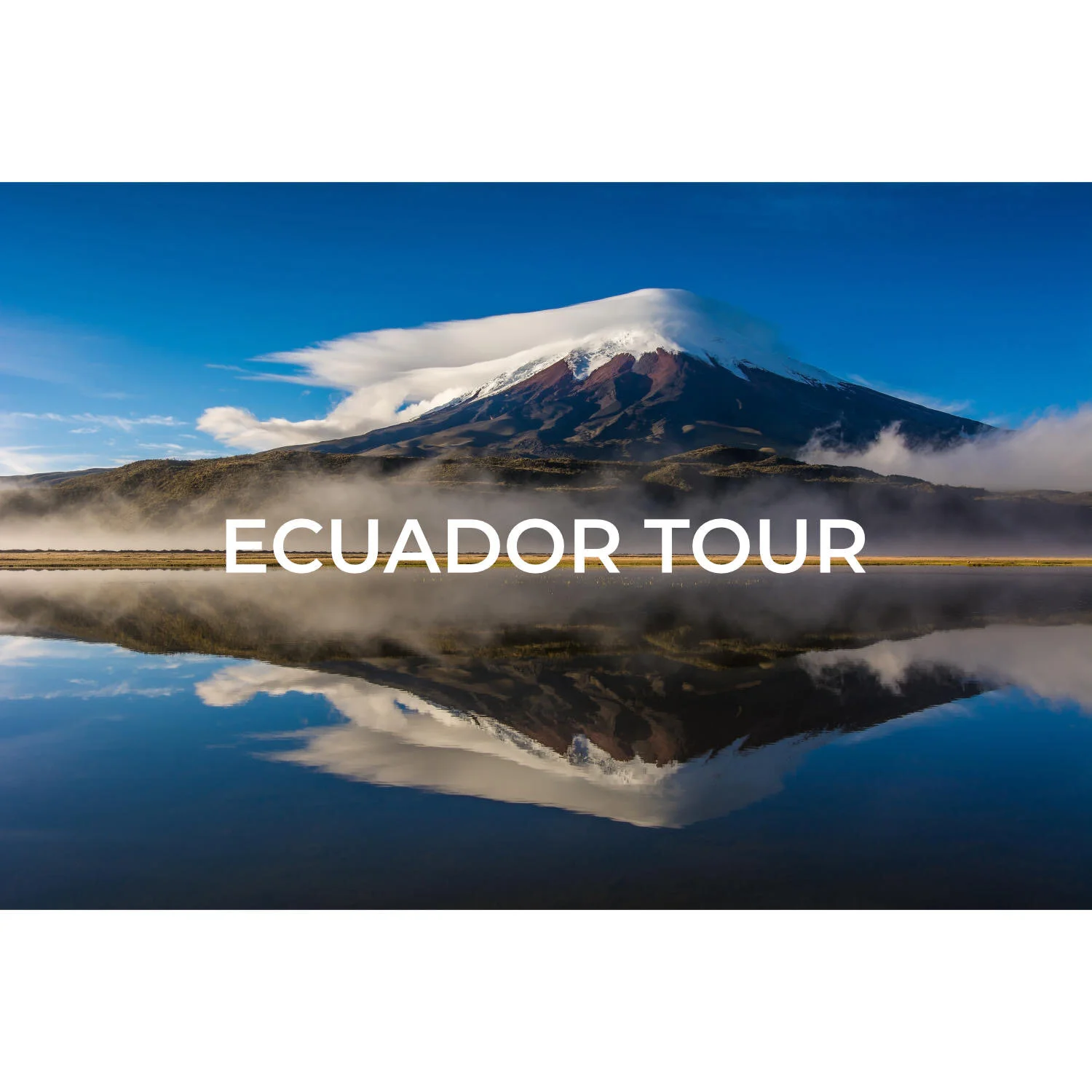 8B482F5E-1A61-4D3B-B0F5-CC561F126E8F