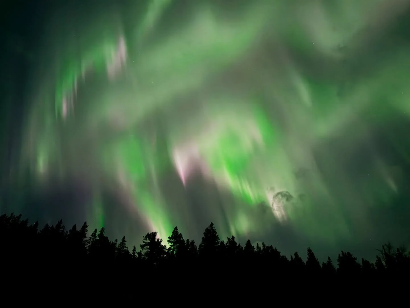 An incredible aurora display over Abraham Lake this evening.
Strong movement, shifting colour, and clear skies at the right moment.
New workshop dates coming soon!

#AbrahamLakeAurora #NorthernLights #NightPhotography