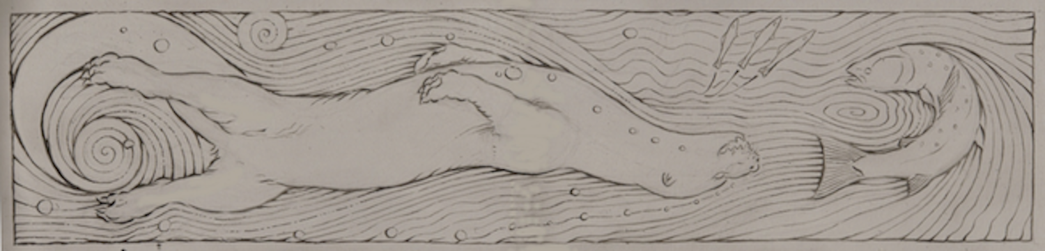 otter.png