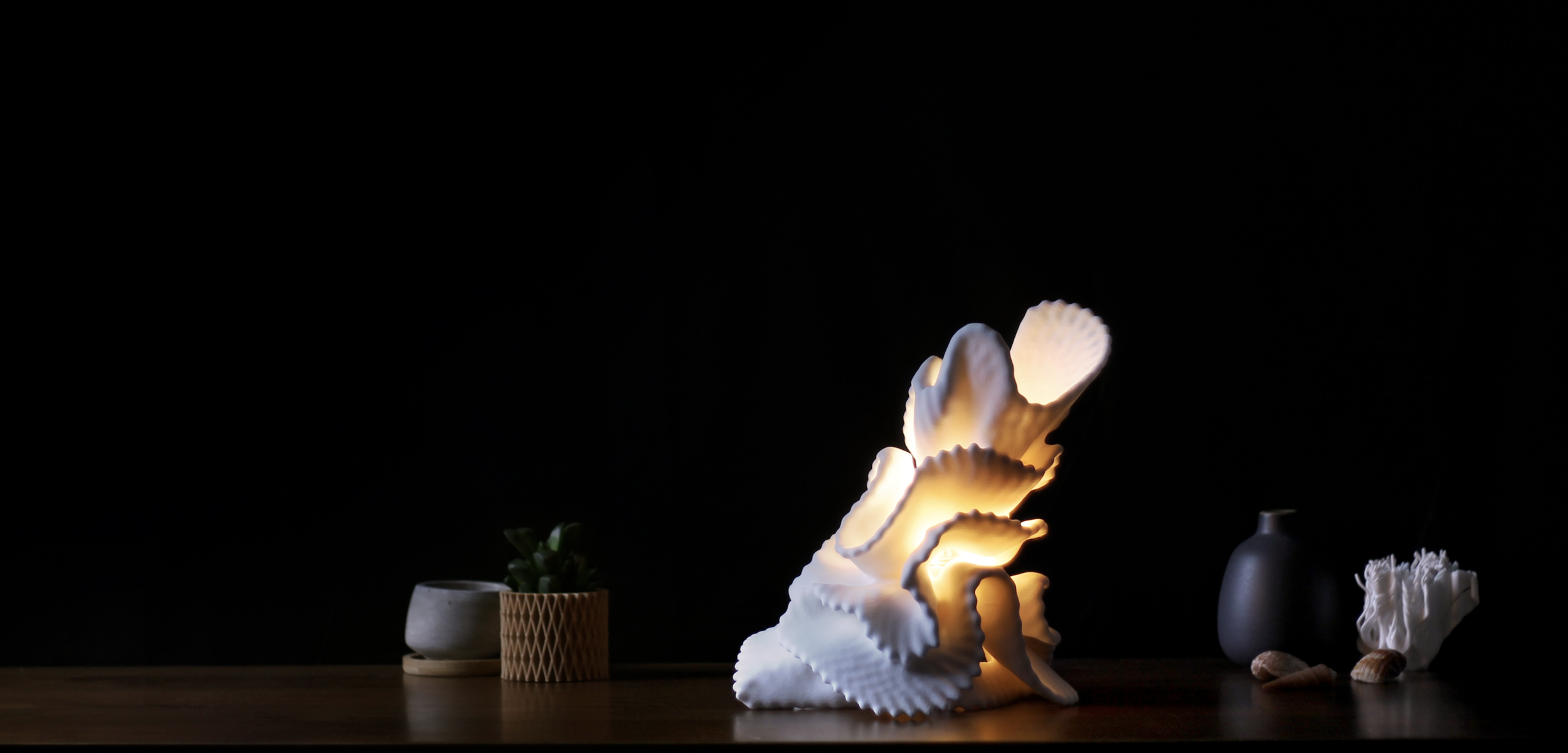 Screen Shot 2020-08-04 at 8.03.40 AM.png