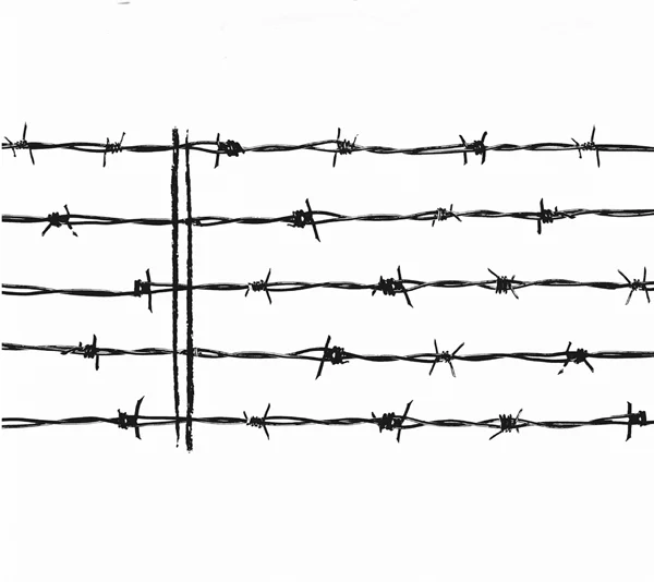 Feldervogel_barbed wire.jpg