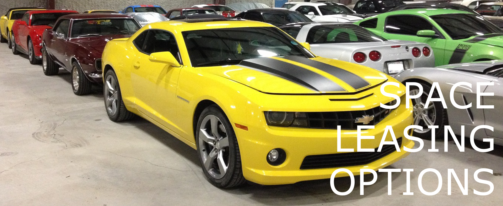 Leasing Options Main Phot.png
