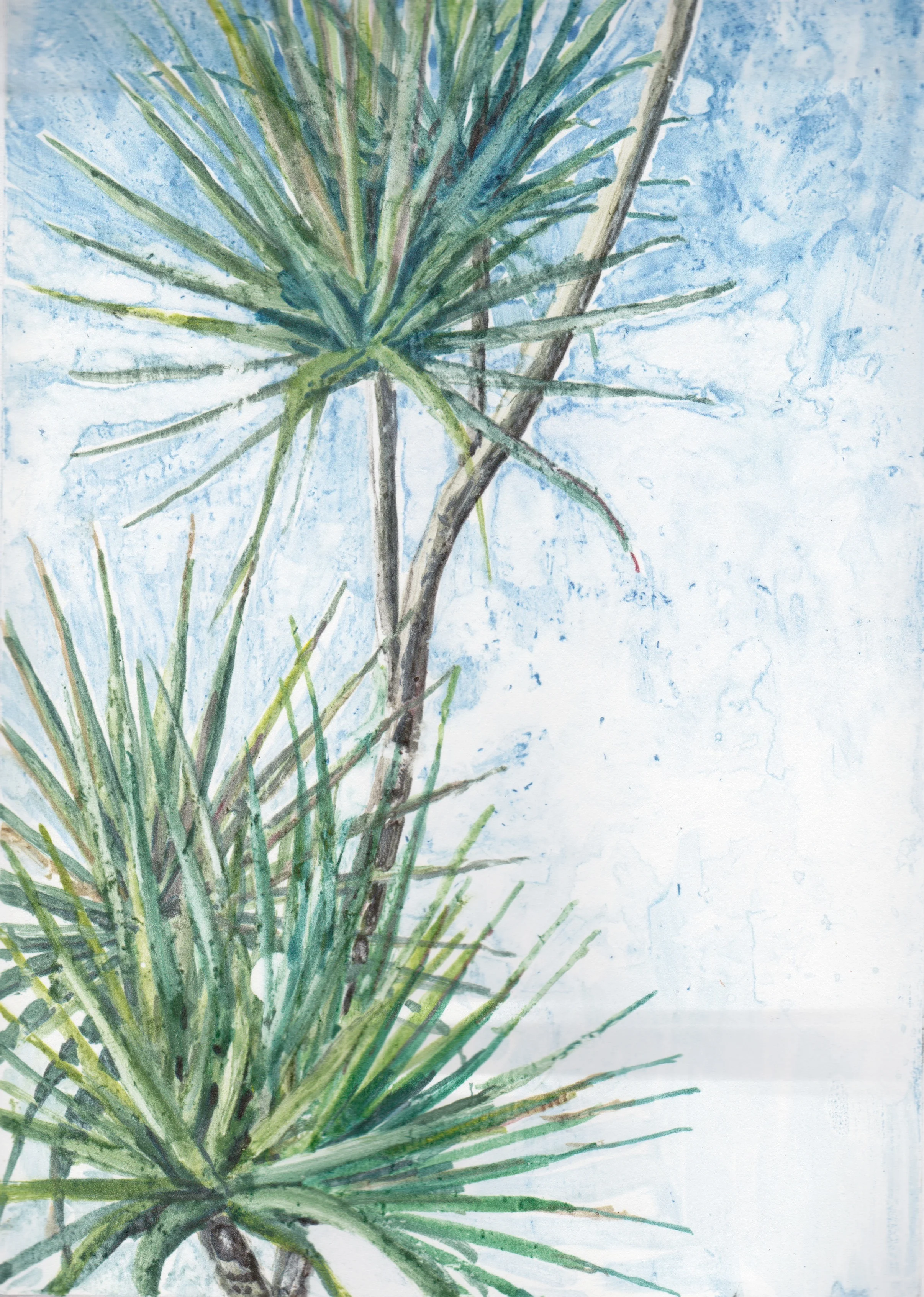 watercolour monotype 2014 (1/4 sheet rag)