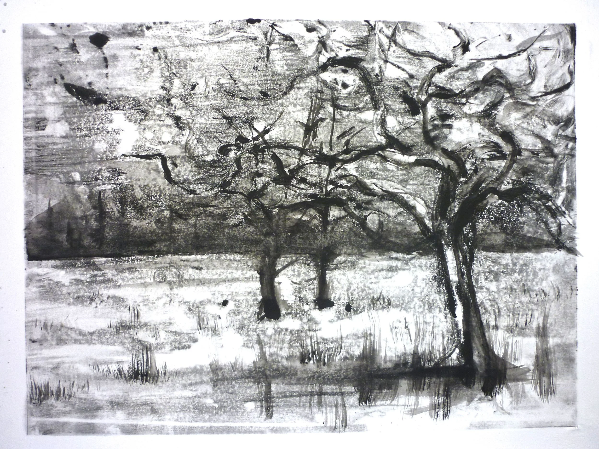 intaglio ink monotype 2014 (full sheet rag)