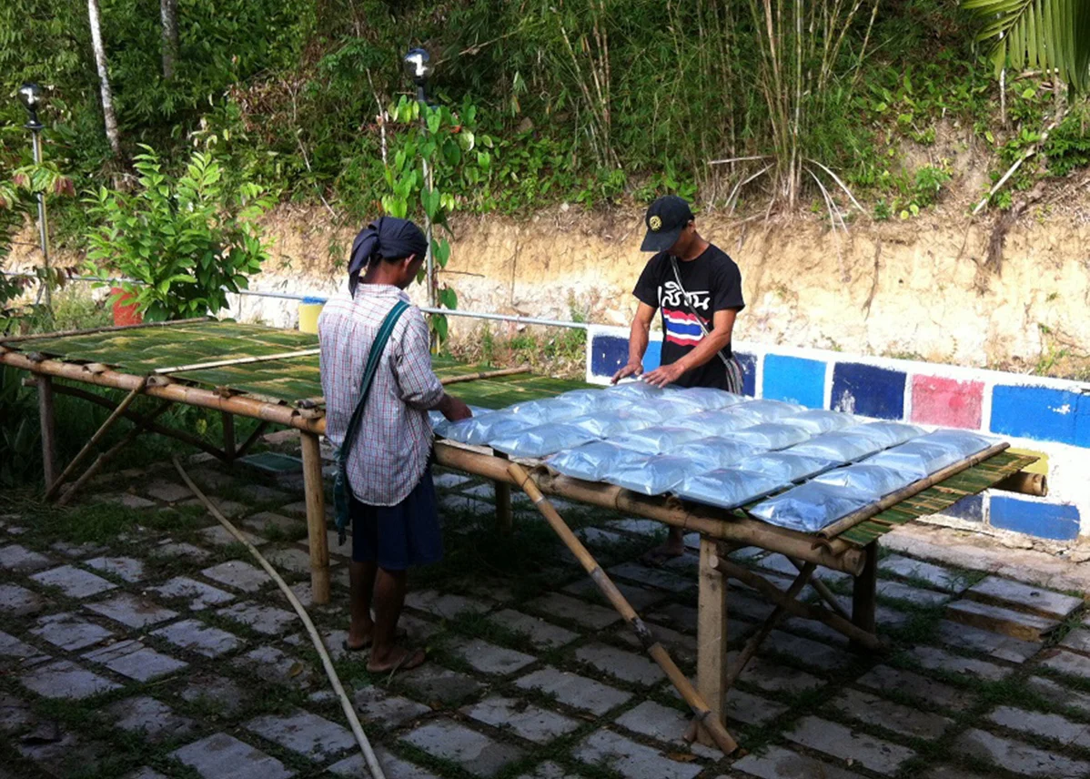 Setting up for the first day of the material study