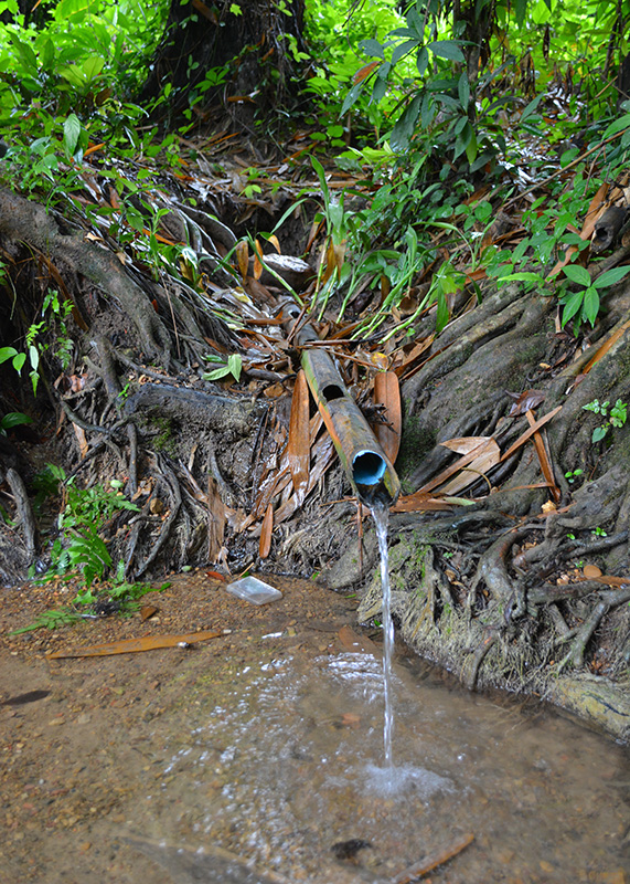 A small pipe channeling the water from the spring into the small stream