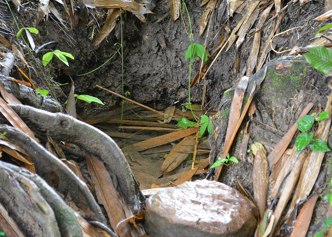 The small spring where the locals collect water for drinking