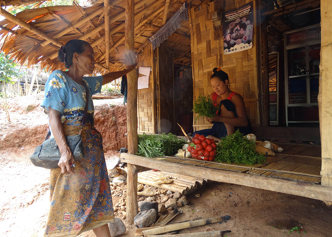A local preparing to sell fruits and vegetables she'd gathered from a forest
