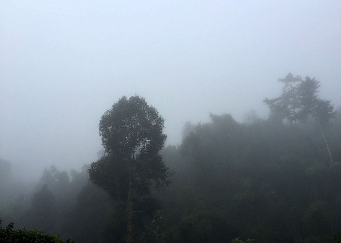 A very foggy morning in Sangkhlaburi, a sign of winter's arriving.