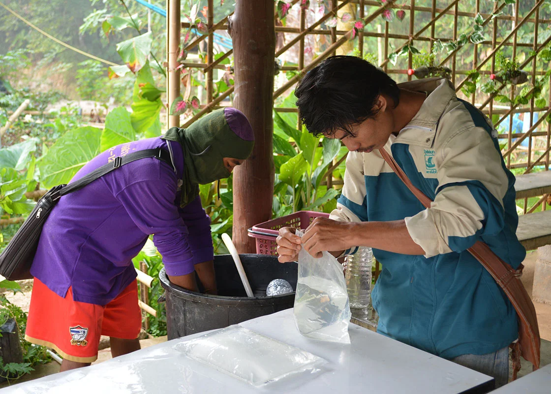 Daeng and Taedee prepared prototypes for the disinfection and material-safety studies in a chilly winter morning.