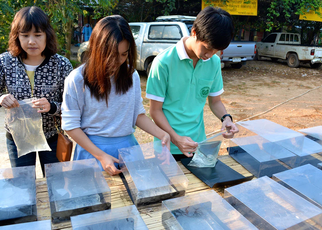 Supamas, Tipawan, and Weerawat helped set up the experiments.