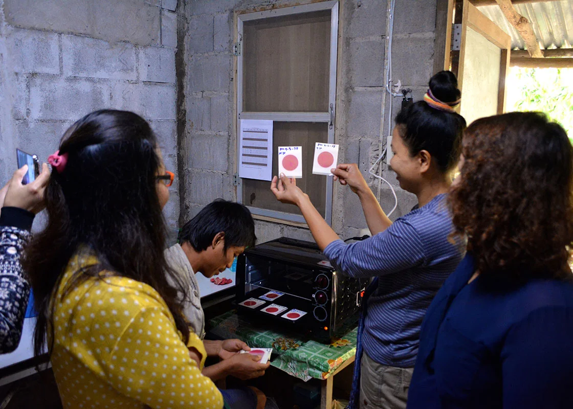 Piyawan showed Petrifilm results from the previous days.