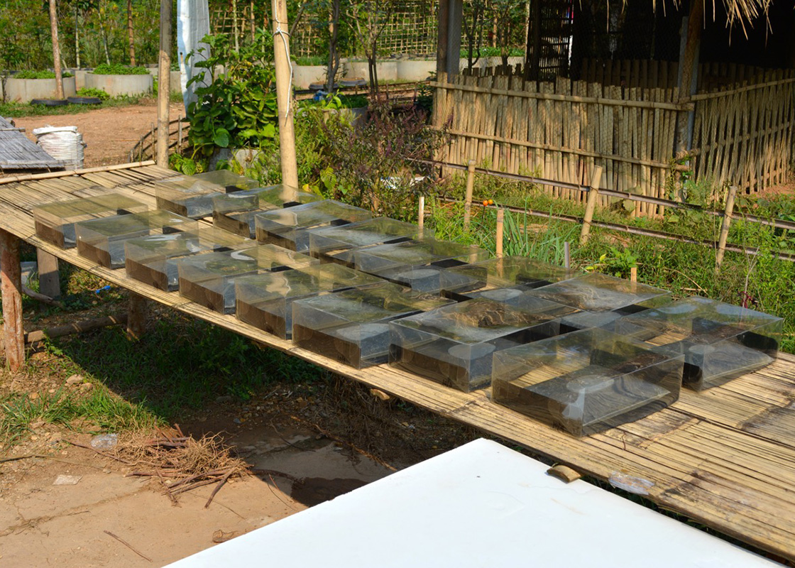 The experiments for the disinfection efficacy and material safety continued.