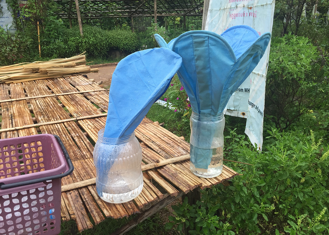 Water collected by Rainflowr prototypes after the rain
