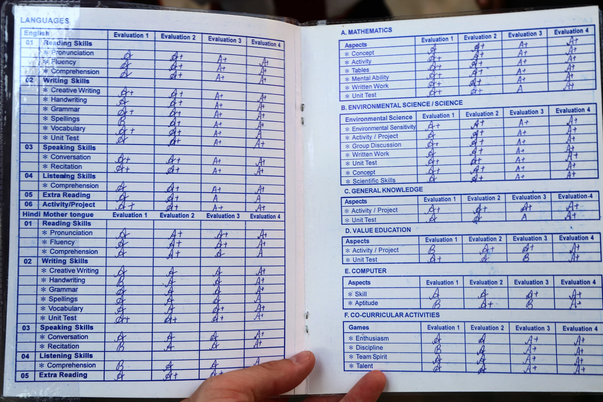 _Ajeet 2013 Report Card 2 LIGHT.jpg
