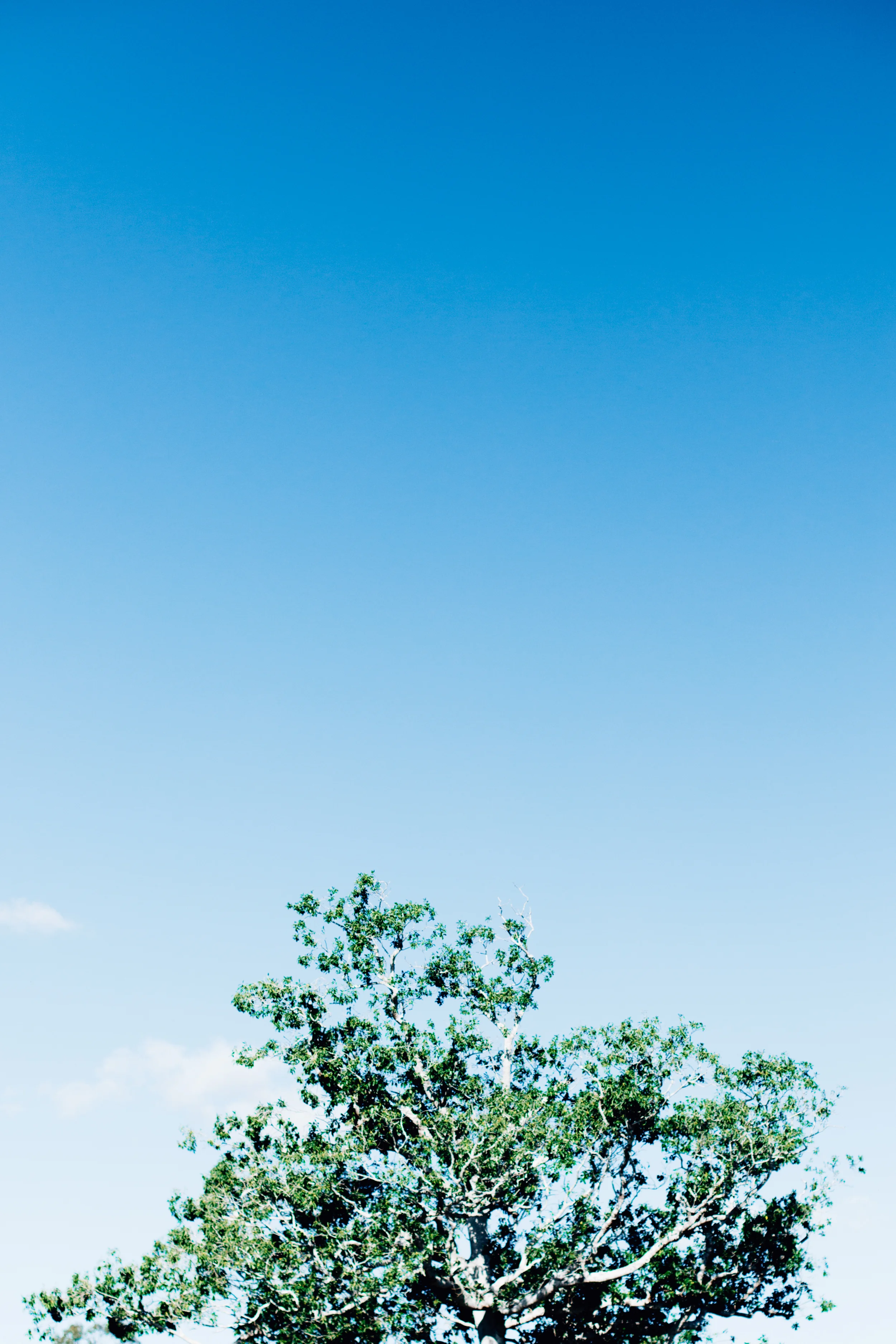R+J Blog-0454.jpg
