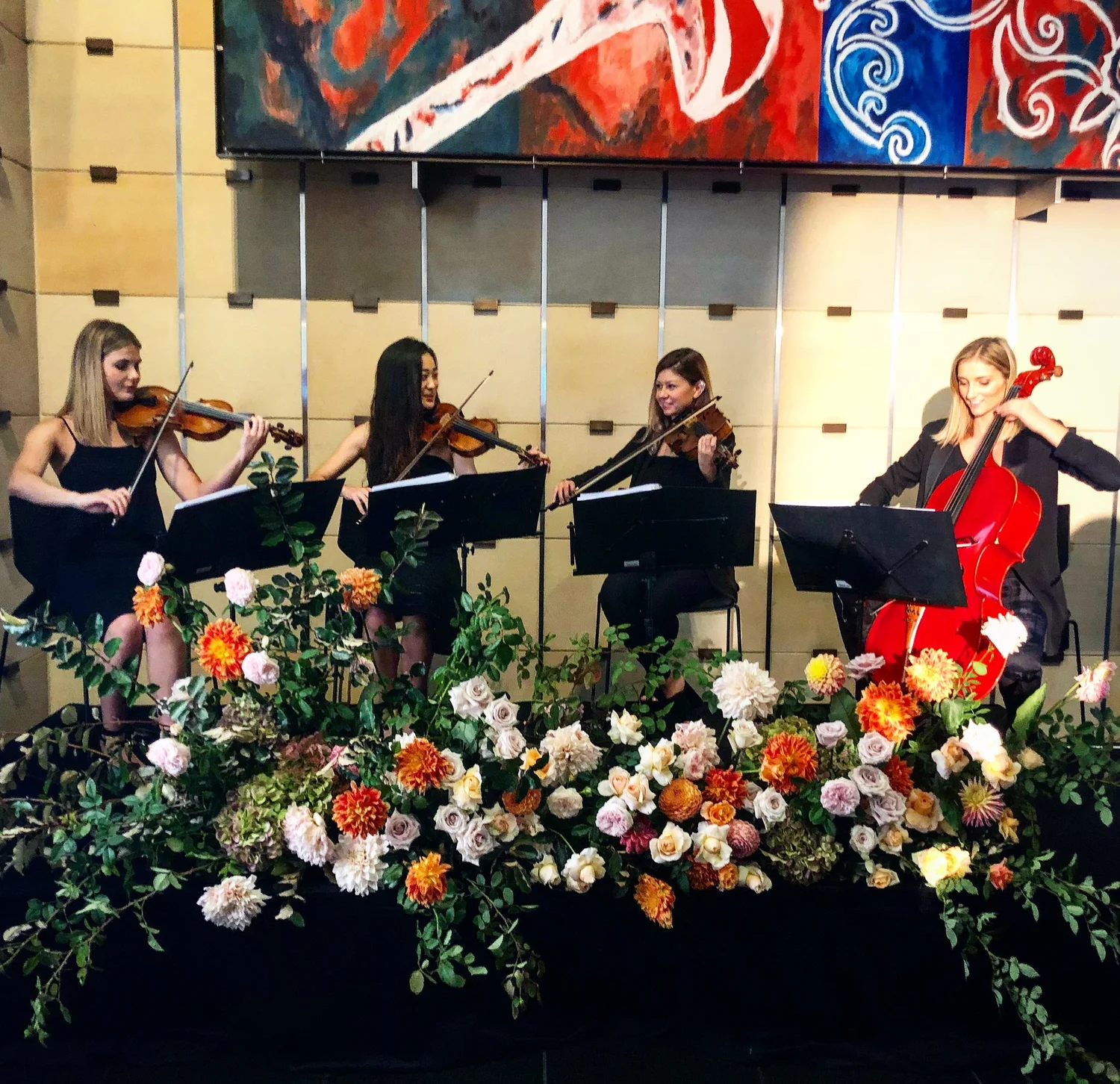 Gallery — Luxe Strings