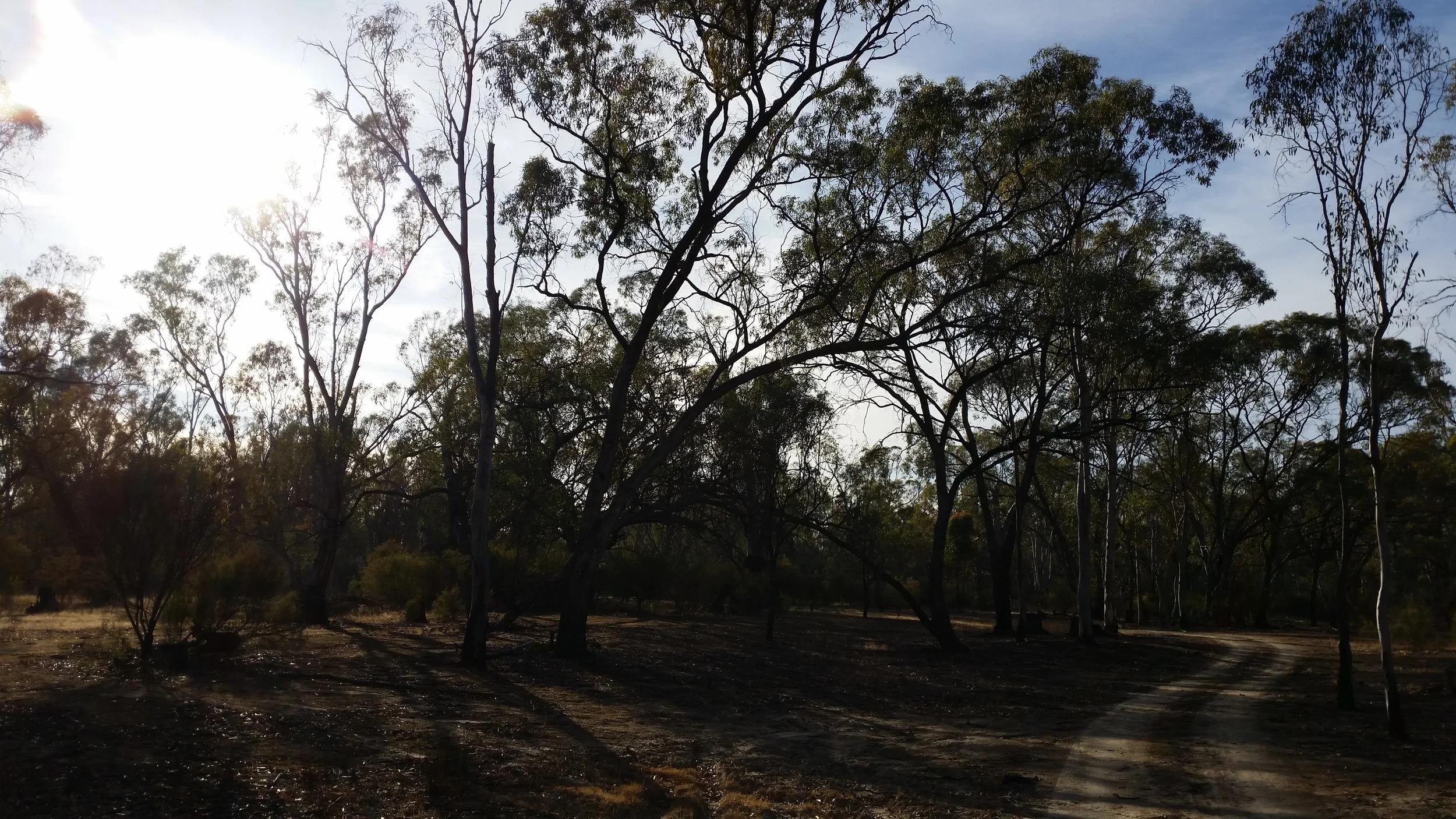 Tips for staying motivated when injured or unable to run