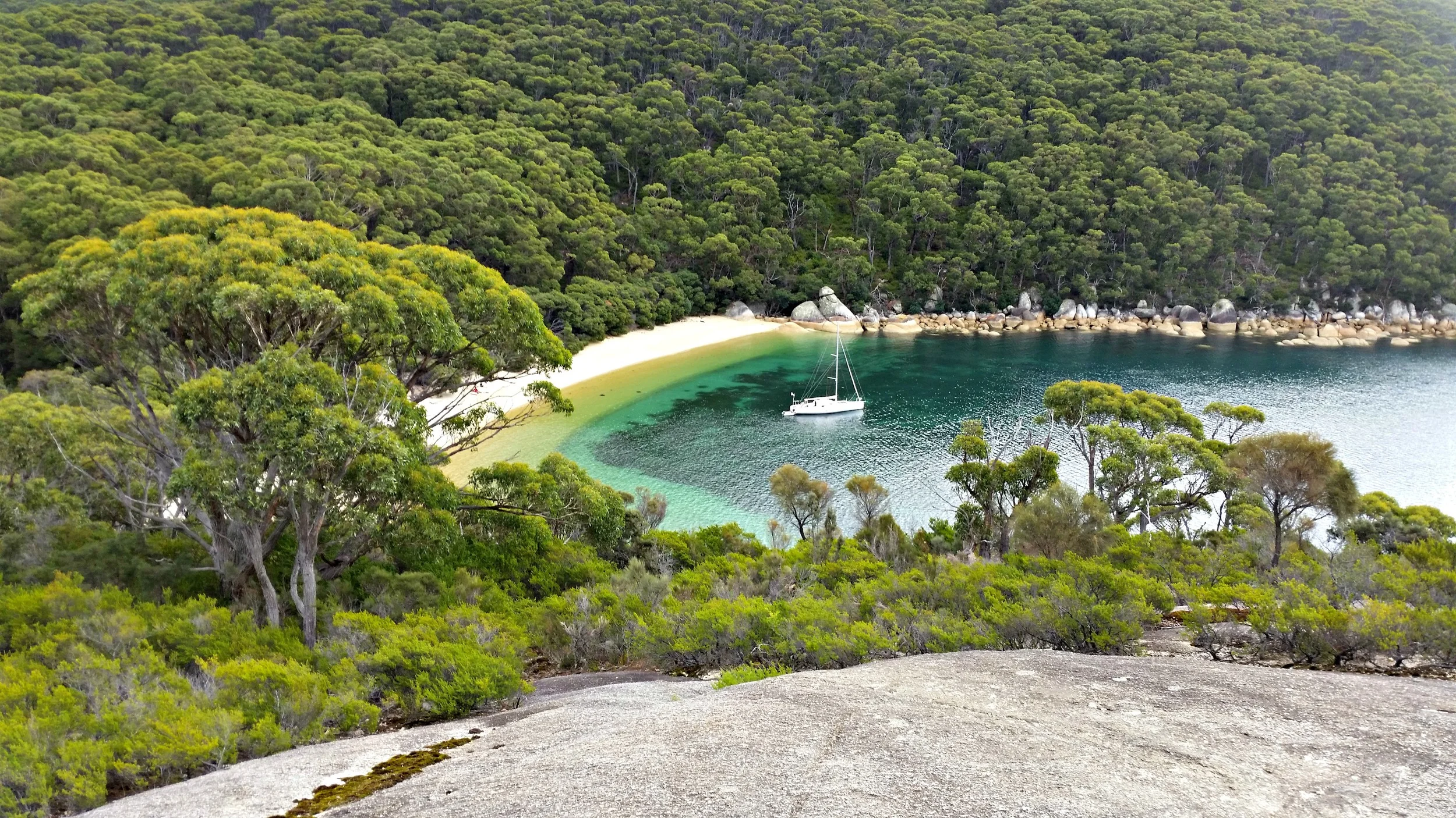 Hiking on the trail: Wilson’s Promontory