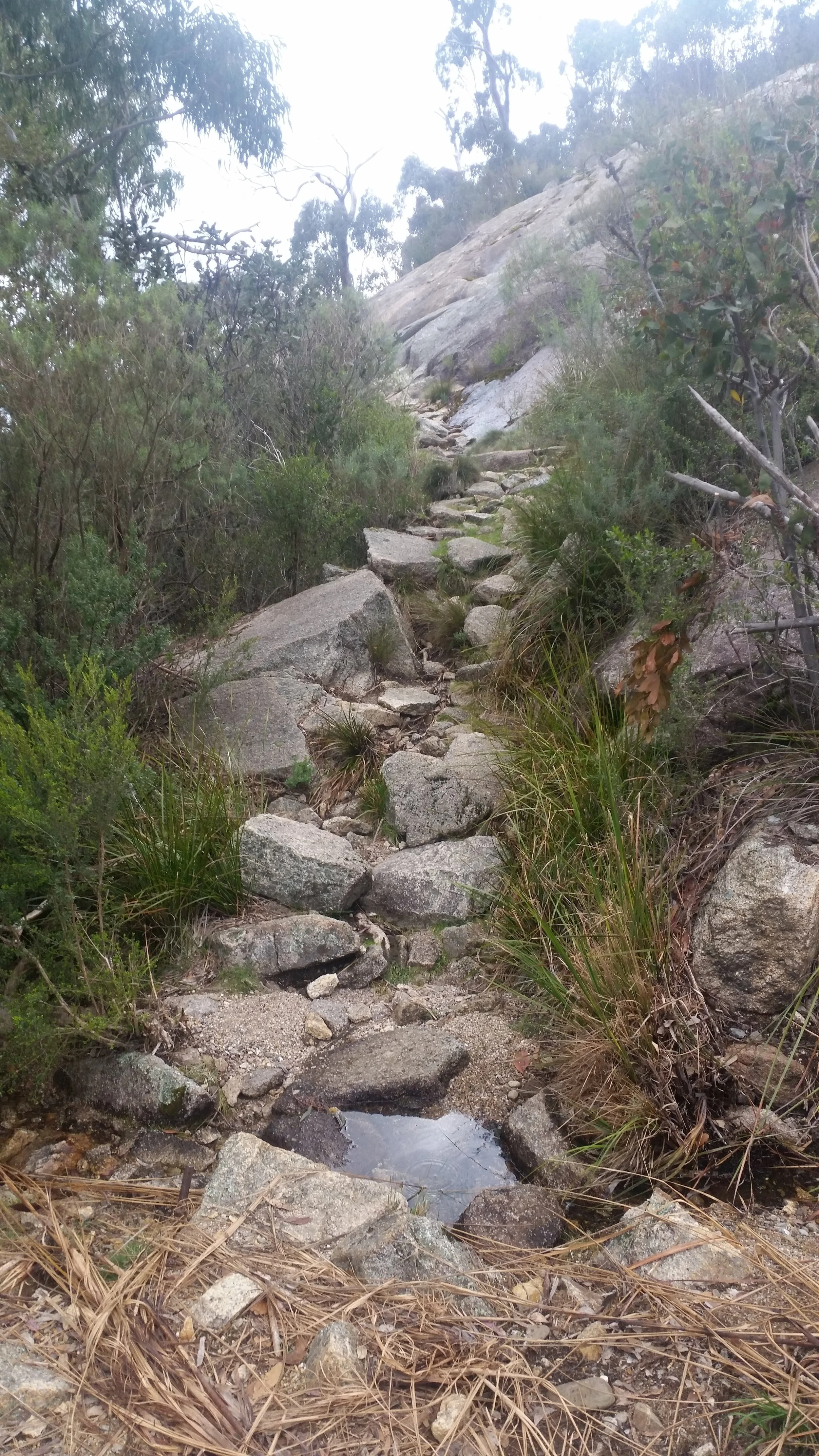 Mt Buffalo, Victoria