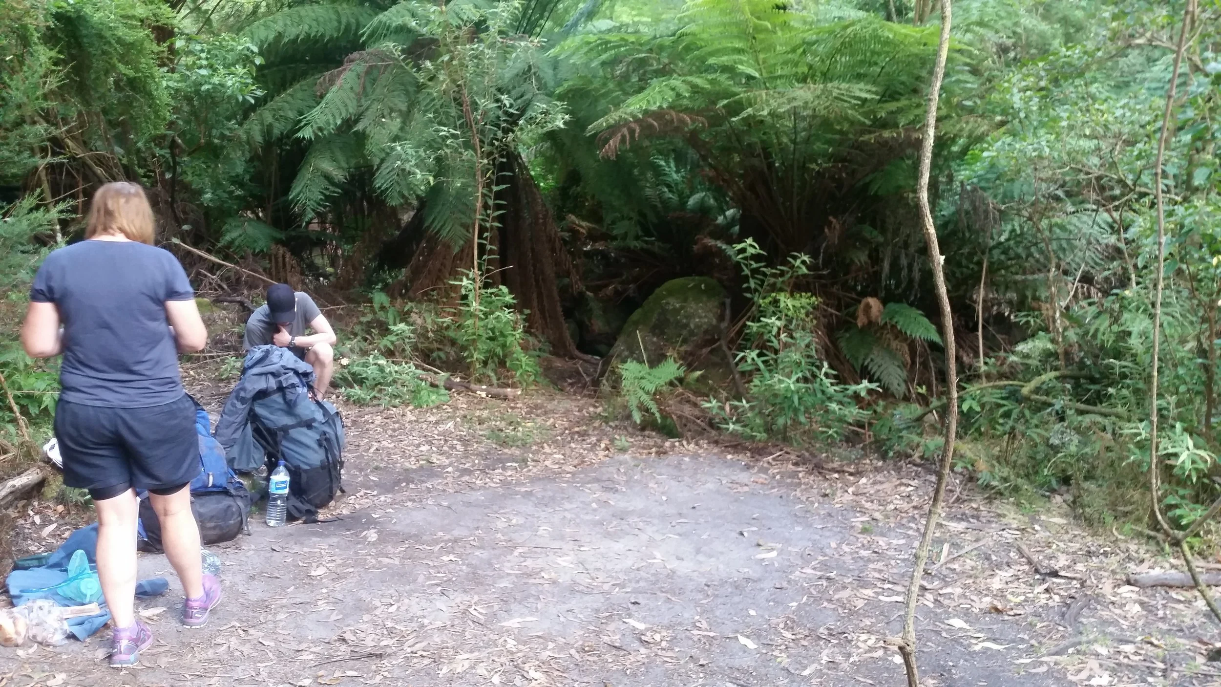 Roaring Meg campsite, Wilsons Promontory