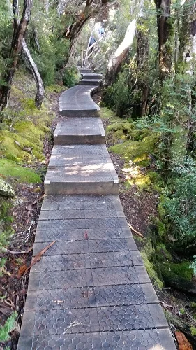 dove lake circuit boardwalk cradle mountain tasmania.jpg