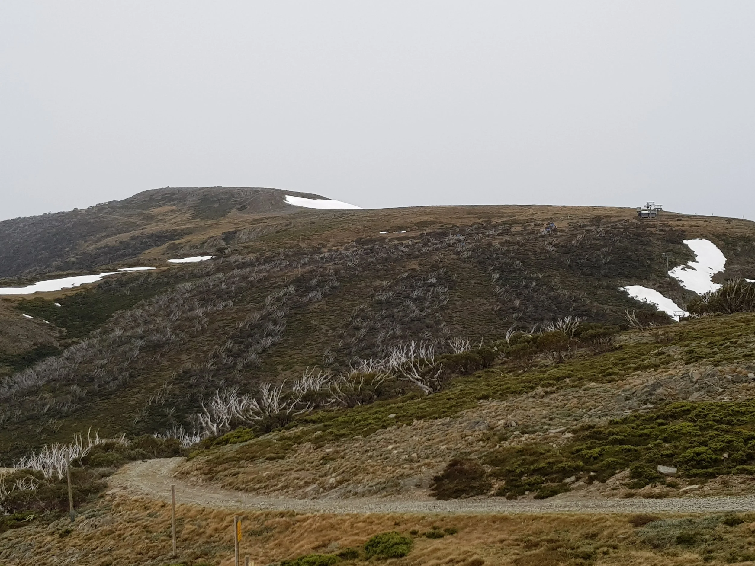 Hiking on the Trail – Mt Loch and Mt Hotham Summit