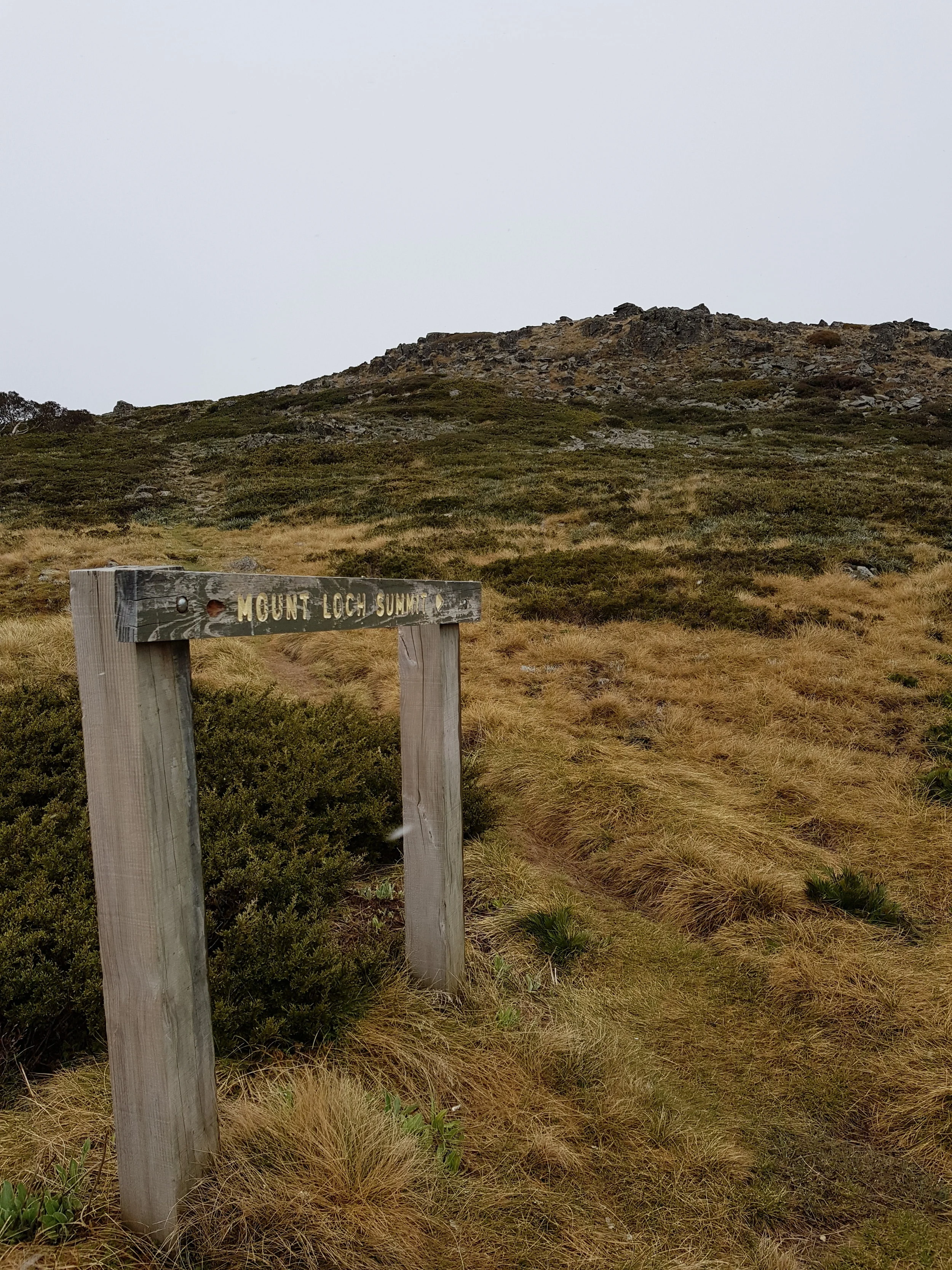 Mt Loch Summit Sign.jpg