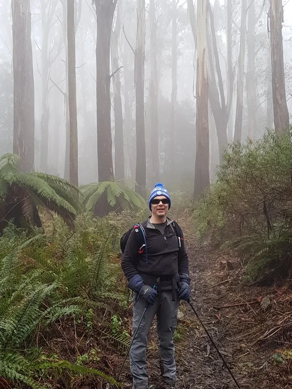 Mt Donna Buang Mountain Ash Trees.jpg